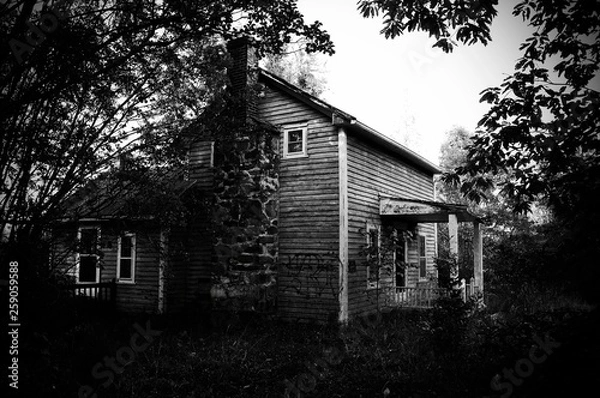 Obraz Creepy Cabin