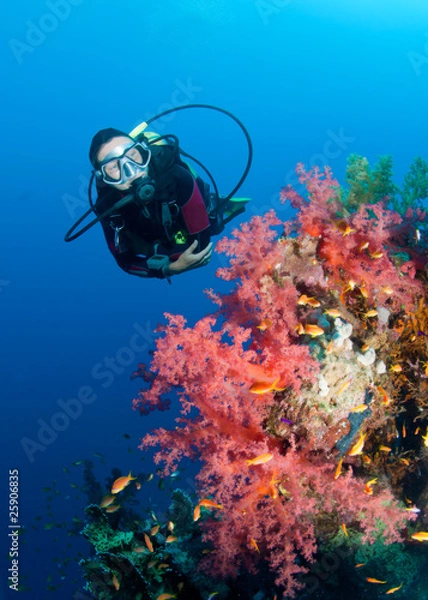 Obraz Feamle scuba diver and colourful coral reef