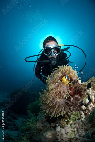 Obraz Copyright 2GoBelow