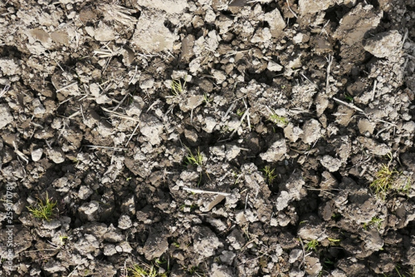 Fototapeta 土のテクスチャ