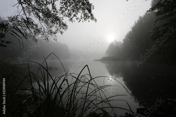 Fototapeta Tonstich 13