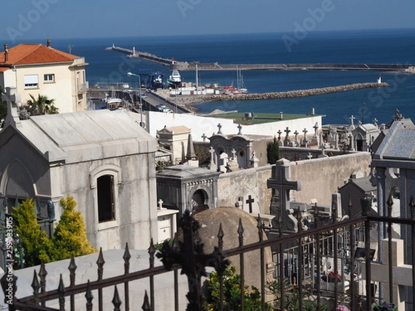 Fototapeta OLYMPUS DIGITAL CAMERA