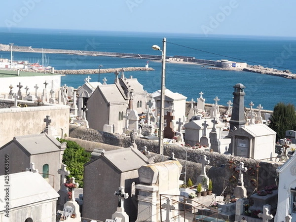 Fototapeta OLYMPUS DIGITAL CAMERA