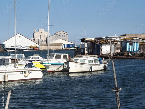 Fototapeta OLYMPUS DIGITAL CAMERA