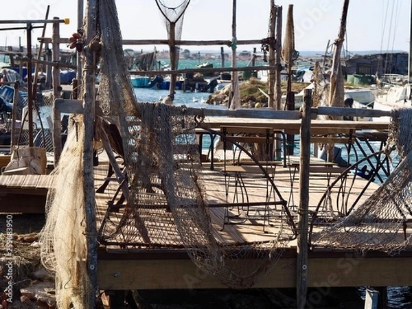 Fototapeta OLYMPUS DIGITAL CAMERA