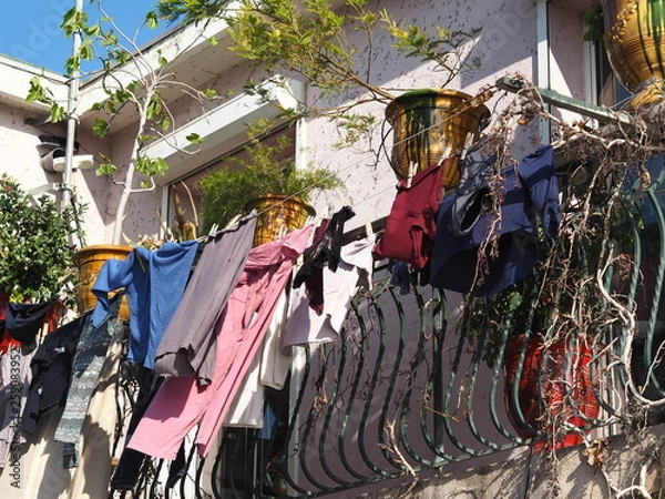 Fototapeta OLYMPUS DIGITAL CAMERA