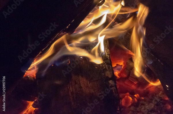 Obraz Fire, Campfire