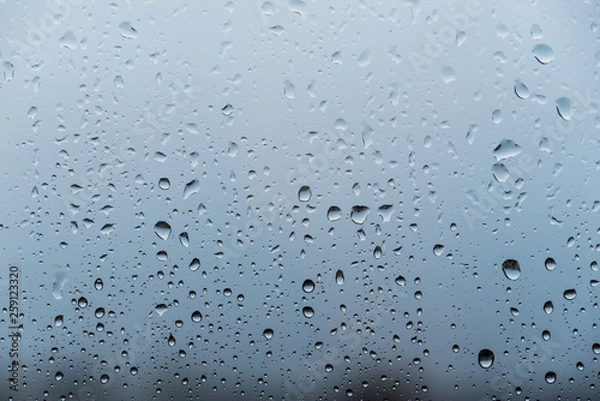 Fototapeta 窓と雨雫