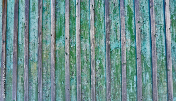 Obraz Cracked weathered blue and green shabby chic painted wooden board texture, front view