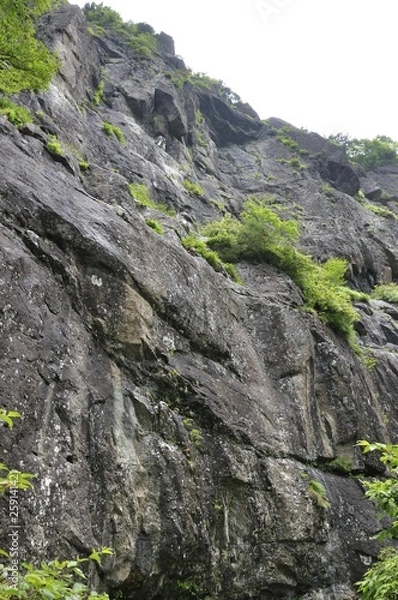 Fototapeta 霧の屏風岩