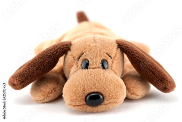 Obraz Puppy