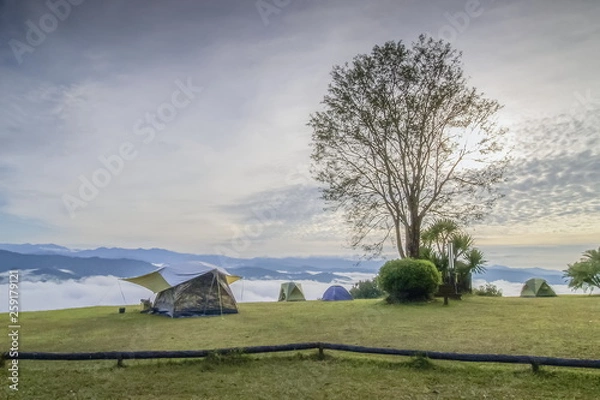 Fototapeta view morning of camping tents under a big tree with mountain and cloudy sky background, Pha Chu Camp Ground, Sri Nan National Park, Nan, Thailand.