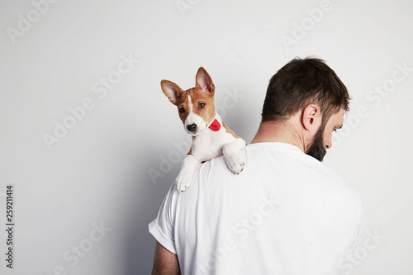 Fototapeta Handsome bearded man snuggling and hugging his basenji puppy dog, close friendship against a white background. Copy paste space mock-up