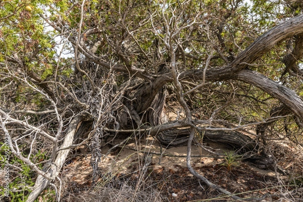 Fototapeta Sardinien Coastline