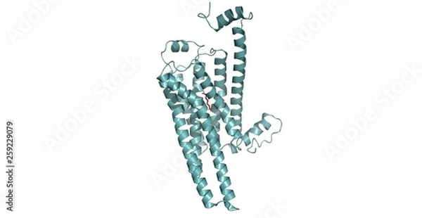 Obraz GPCR_TAAR6