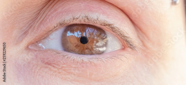 Fototapeta Occhio