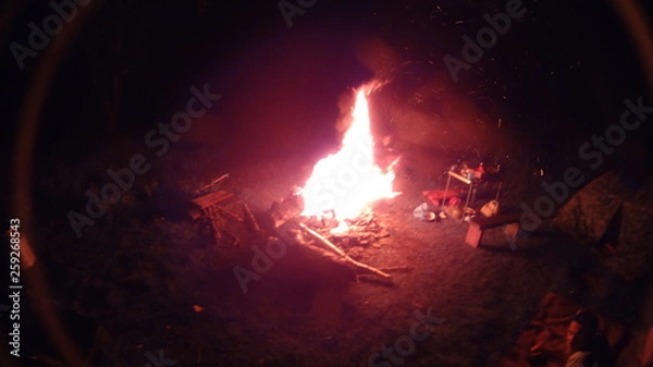 Obraz fire in the forest