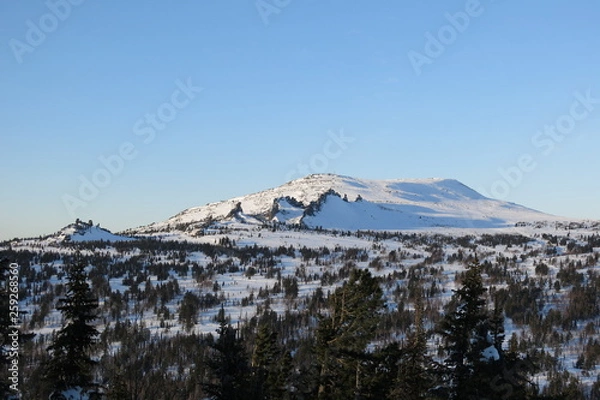 Obraz winter mountain landscape