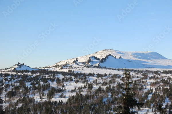 Obraz winter in the mountains