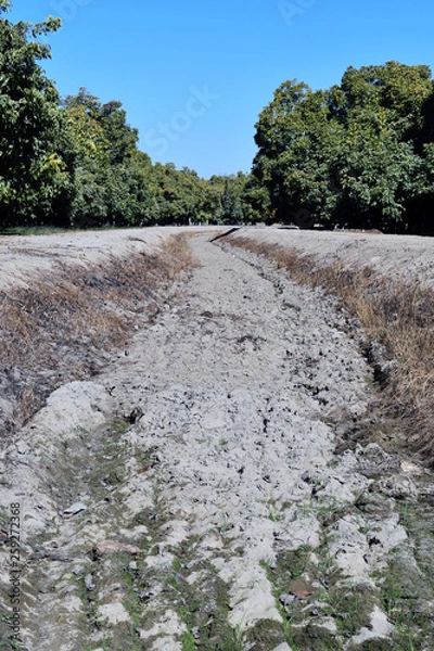 Fototapeta Dried out river bed
