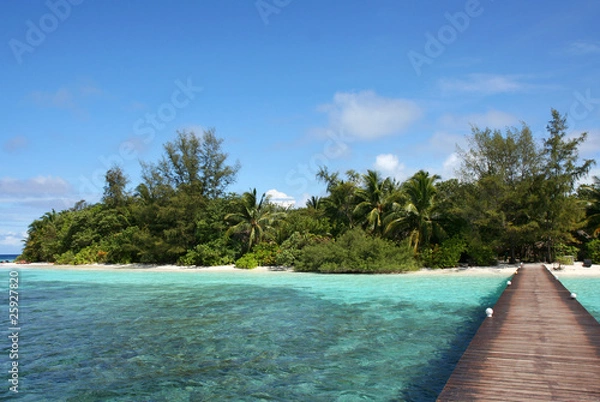 Obraz Maldive beach