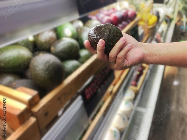 Obraz Woman's hand holding avocado for choose from the shelf in the supermarket.