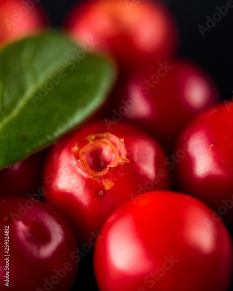 Fototapeta Cowberry (foxberry, lingonberry). Wild cranberry on dark rustic background. Ripe red forest berries Vaccinium vitis-idaea with green leaves. Copy space.