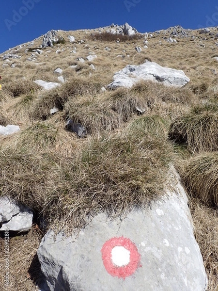 Obraz OLYMPUS DIGITAL CAMERA