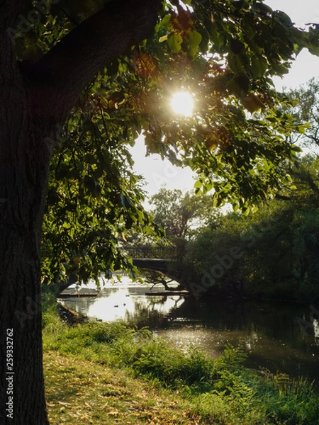 Fototapeta Esplanade in Boston, a public park in the Back Bay on the south bank of Charles River Basin used for outdoor activities such as kayaking, running or a picnic at the waterfront of the canal