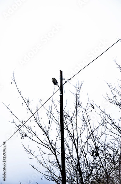 Obraz Pylon with wires