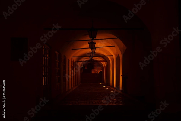 Obraz Dark landscape in the city