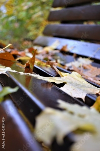 Obraz Herbst im Park
