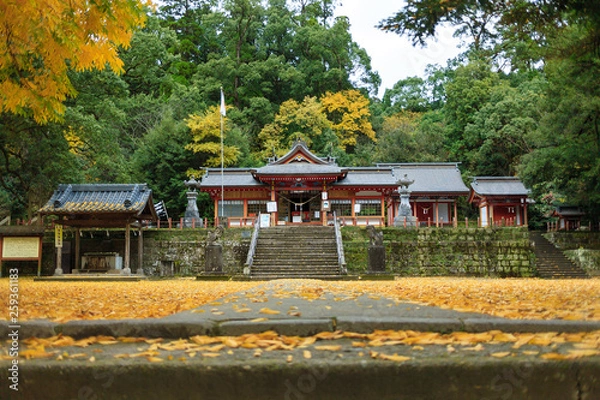 Obraz 蒲生八幡神社の紅葉