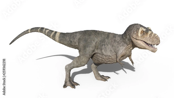 Fototapeta T-Rex Dinosaur, Tyrannosaurus Rex reptile standing, prehistoric Jurassic animal isolated on white background, 3D illustration