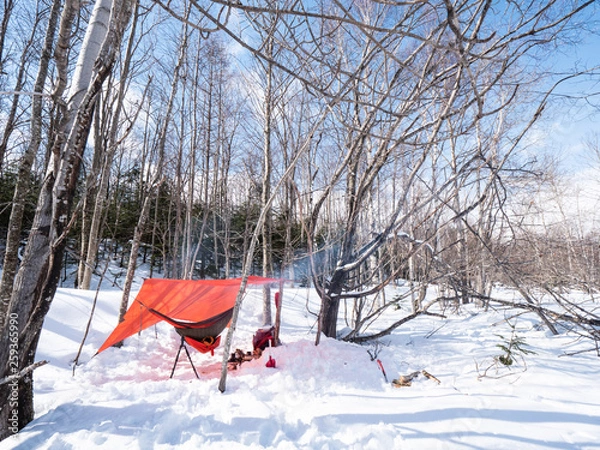 Fototapeta 冬 ハンモック キャンプ