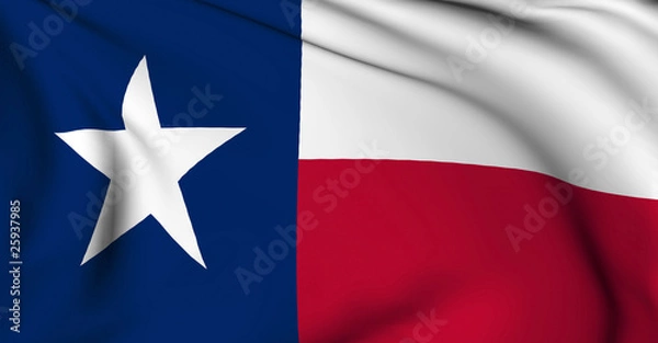 Obraz Texas flag - USA state flags collection