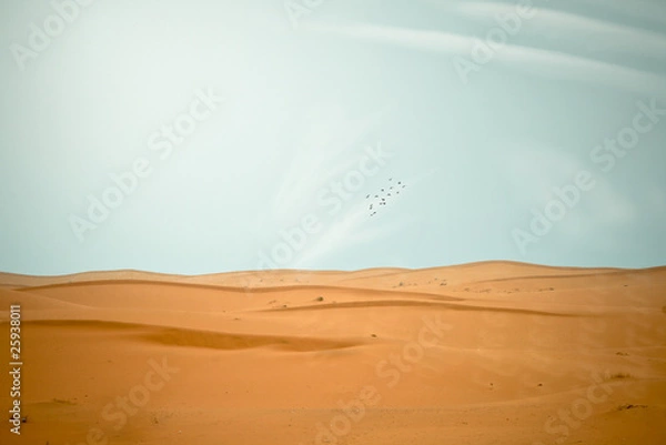 Obraz Happy Summers!