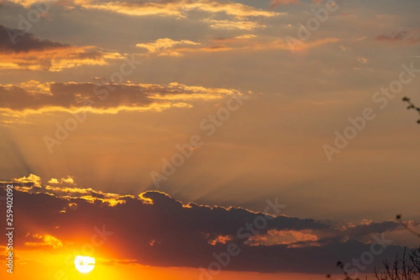 Obraz Rayons de soleil le soir 