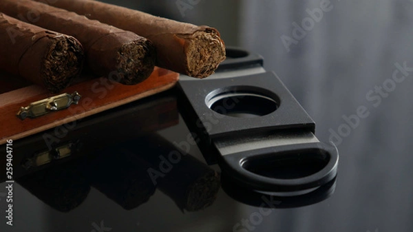 Fototapeta Open humidor with cigars and cigar cutter
