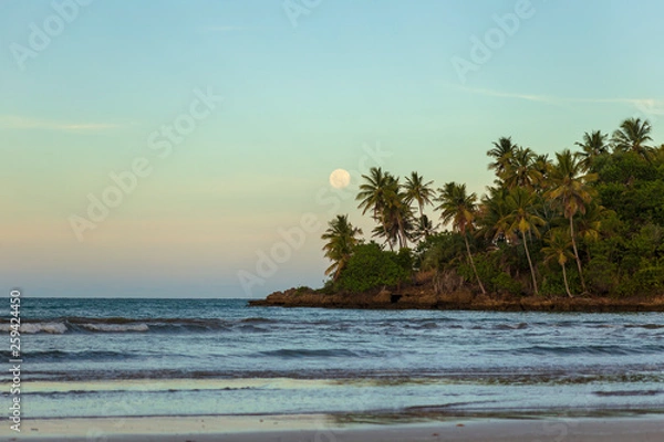 Fototapeta lua Cheia 