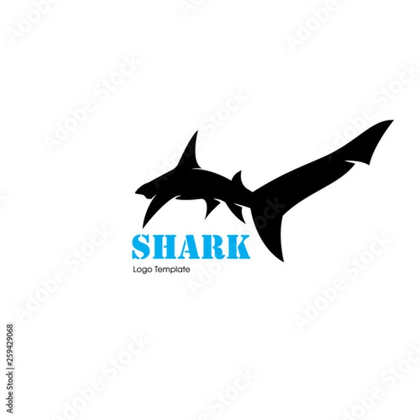 Obraz vector shark logo