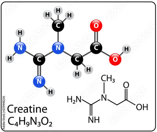 Fototapeta Creatine Molecule Structure