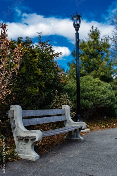 Obraz Bench in the park