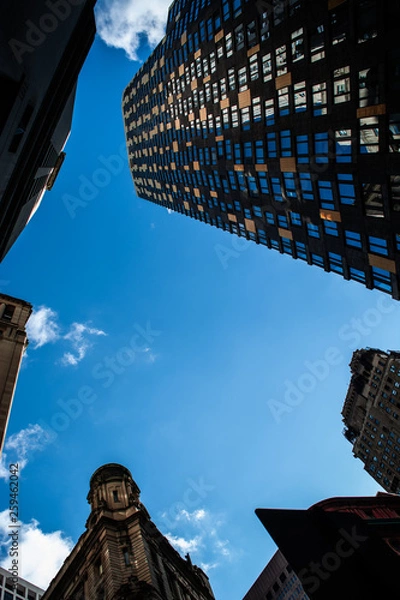 Obraz Skyscrapers in the city