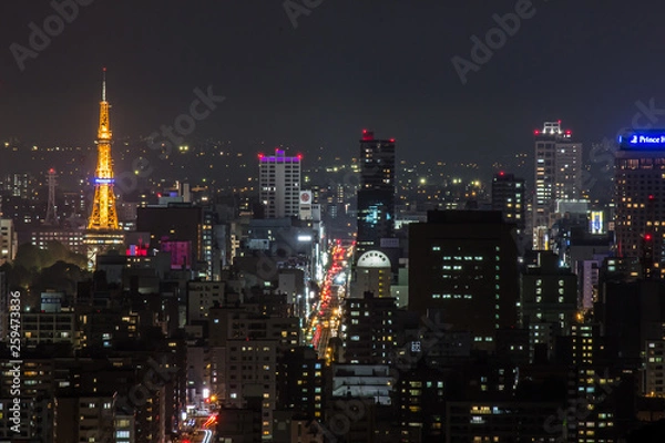 Fototapeta 札幌市 夜景 都市夜景