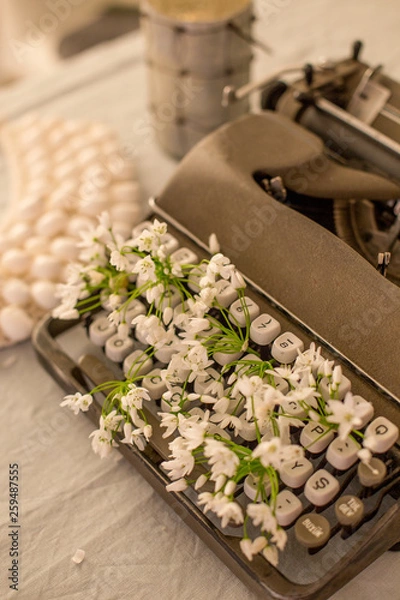 Obraz Spring or summer writing concept. Vintage typerwriter with flowers between keys