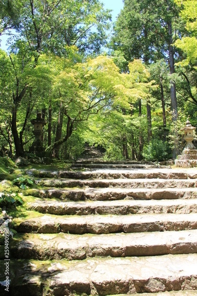 Fototapeta 石灯篭のある長い石階段(高知県)