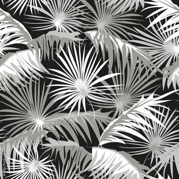 Obraz Seamless vector grey and white palm leaves on black background.
