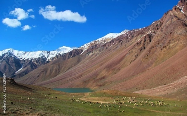 Obraz landscape in the mountains