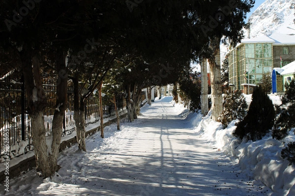 Obraz Nature and Art